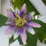 article image - 